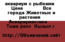 аквариум с рыбками › Цена ­ 15 000 - Все города Животные и растения » Аквариумистика   . Тыва респ.,Кызыл г.